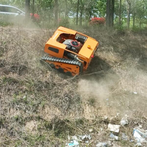 Remote Lawn Mower in Deutsch
