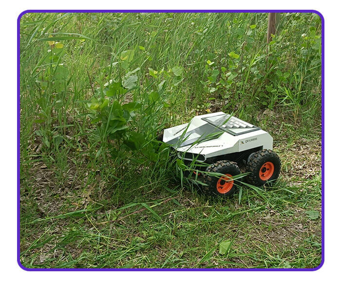 Remote Control Electric Lawnmower